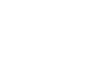 Navy Pier